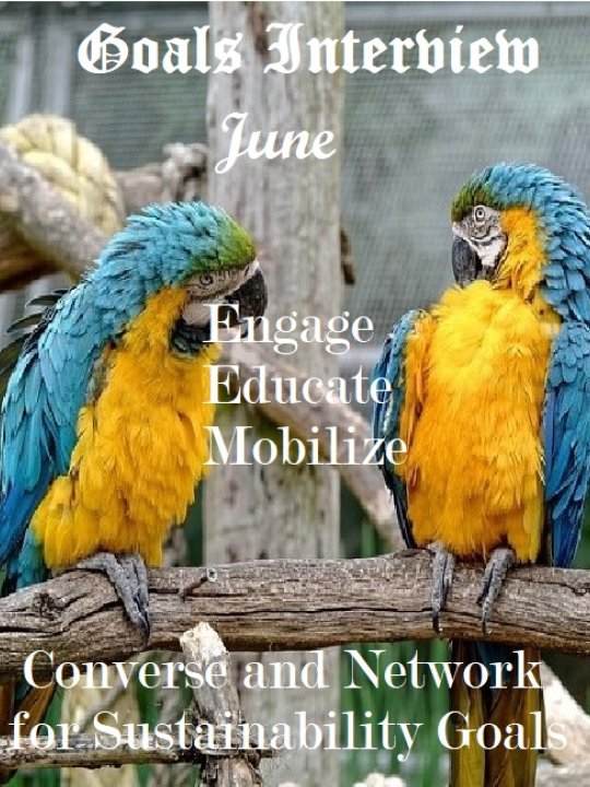 Show Image
