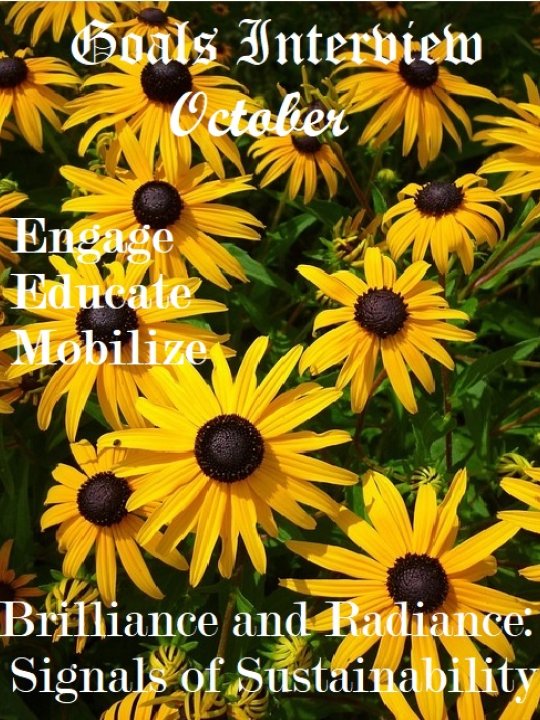 Show Image